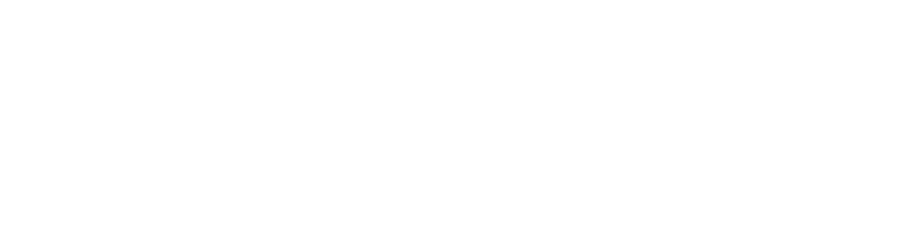Connekt Mobscene